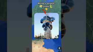 Word's largest Snake ‍️ on google maps and google earth  #shots #Hrbro76 #hrgoogleearth