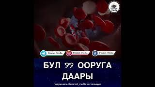 Бул 99 ооруга даары. Шейх Чубак ажы устаз