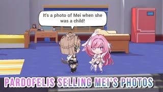 Pardofelis Selling Mei's Photos | Elysia Herrscher and Pardofelis Interaction | Honkai Impact 3rd