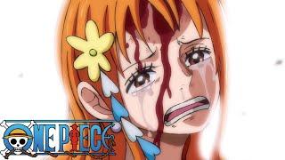 Nami says Luffy will become Pirate King | One Piece - Episode 1008