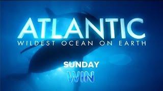 WIN Promo: Atlantic: Wildest Ocean on Earth (30 Dec 2015)