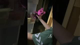 King Jumbo Is Getting A Snack #jumbovj #funny