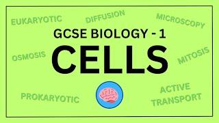 AQA GCSE Biology in 10 Minutes! | Topic 1 - Cell Biology