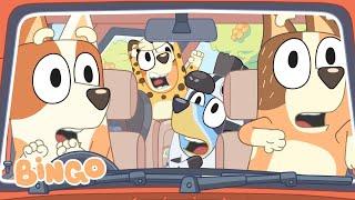 Bingo's Exciting Adventures   | Best of Family Playtime + Bluey Games | Bingo - Official Channel
