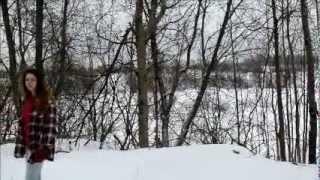 Arrival of the birds