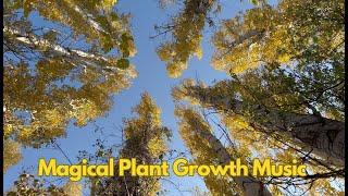  Magical Music for Plant Growth and Happiness with Positive Vibes