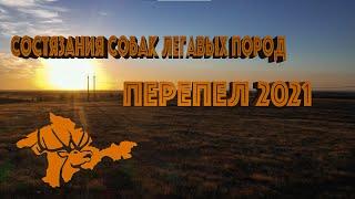 СОСТЯЗАНИЯ ПО ПЕРЕПЕЛУ 2021