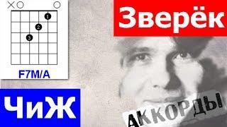 Чиж Зверек аккорды  кавер табы как играть на гитаре | pro-gitaru.ru