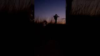 Telegram- blackcanadianwolf #music #wolf