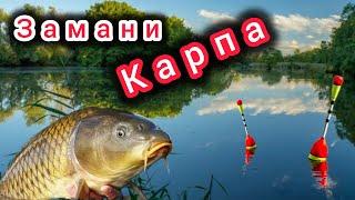 КАРП НЕ УСТОИТ ПЕРЕД ЭТОЙ НАСАДКОЙ!!Карась ,Лещ,Плотва будут на крючке!!!