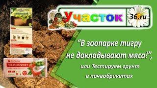 Проверяем почвобрикеты!