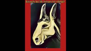 Boshqotirma