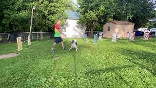 Advance jump grid with motion and asking to wrap vs extended.