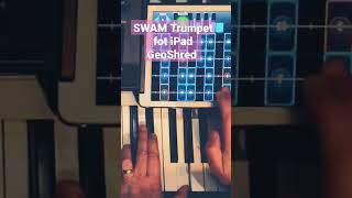 SWAM Trumpet for iPad #geoshred #swam#audiomodeling #agdugros