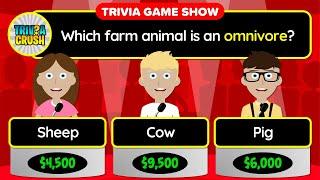   GENERAL KNOWLEDGE QUIZ! - 40 Trivia Questions in a Unique Game Show Format | 24-103