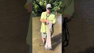 Throwing a 5ft cast net.