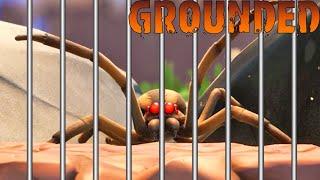 How to Trap & Easily Kill Wolf Spiders | Grounded