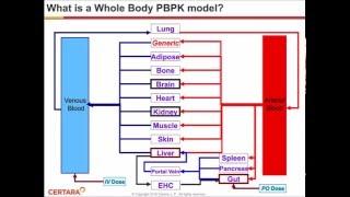 Precision Dosing Using PBPK Modeling