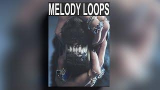 [FREE] SAMPLE PACK / LOOP KIT | MELODY LOOPS (Trap, Rap, Hip-Hop Samples) | vol.156