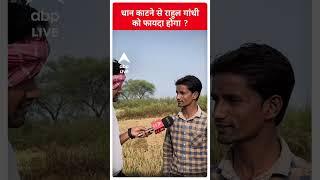 Chhattisgarh Elections EK VOTER AISA BHI: धान काटने से राहुल गांधी को फायदा होगा | #abpliveshorts