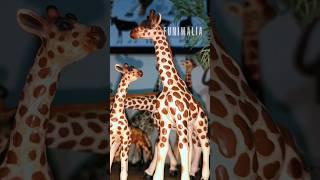 Tall!! #animal #toys #animalfigures #giraffe #wildlife