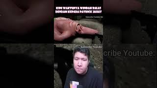 Kini Giliran Windah Harus Balas Dendam Kepada Patrick Jahat!! #gameandroid