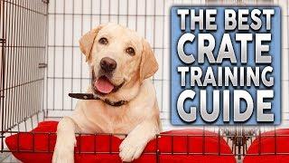 The ULTIMATE Crate Training Guide For Your New Dog or Puppy!