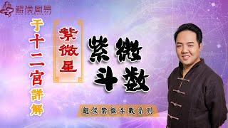 紫微斗数「紫微星」于十二宫详解。| 八字教学｜八字教程｜八字入门｜八字学习｜八字基础｜周易教学｜周易教程｜玄学教学｜风水教学【 鲲侯命理八字教学】
