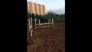 Конхарт прыжки под верхом