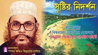 সৃষ্টির নিদর্শন ।  আল্লামা দেলাওয়ার হোসাইন সাঈদী ।  Sristir Nidorshon । Allama Saydee । Bangla waz