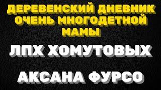 Деревенский дневник очень многодетной мамы. " Мать героиня" . Елена. Лпх Хомутовых. Аксана Фурсо