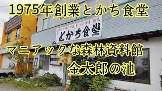 Tomakomai: Tokachi Shokudo, founded in 1975, boat ride on Kintaro Pond, Maniac Forest Museum