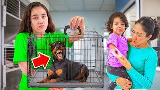 Our Dog ATTACKED Our 2 Year Old Daughter!!