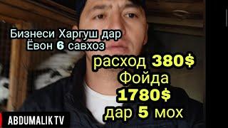 Бизнеси Харгуш дар Ёвон 6 савхоз