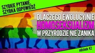 Dlaczego homoseksualizm ewolucyjnie nie zanika? | SPSO #42