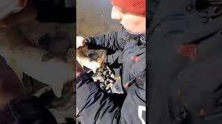 Амурская Щука,на резинку. #отдых #рыбалка #fishing #fish #рыба