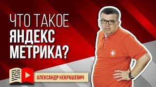 Яндекс Метрика куда смотреть? Обзор Яндекс Метрика.