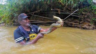 Spearfishing Eels In The Interior Of Mainland Fiji (Catch & Cook Suruwa)