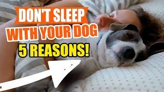 DOES Your DOG SLEEP With YOU? ️5 Reasons to Break That Habit