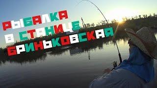 Рыбалка в Ст.БРИНЬКОВСКАЯ!!!/(Судак,Щука)...