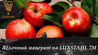 Мацерат из яблок на LUXSTAHL 7М