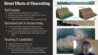 APES Video Notes for 5.2 - Clearcutting