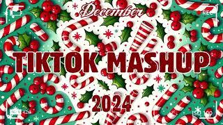 TikTok Mashup December 2024 (Not Clean)