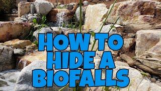 How to HIDE an AQUASCAPE BIOFALLS like a PRO!