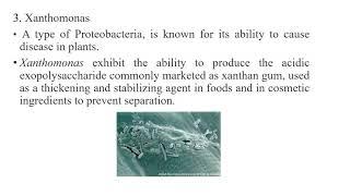 INTRODUCTION TO INDUSTRIAL MICROBIOLOGY