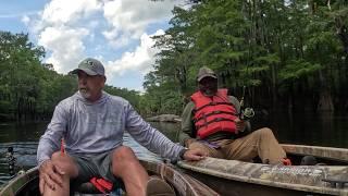 Epic Shellcracker Red Ear Fishing, Cleaning, and Cooking Adventure in the River Swamp – Must Watch!