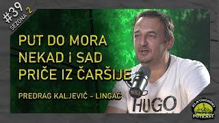 Predrag Kaljević - Lingać V2.0 - Zlatiborski podcast Ep. 39