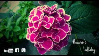 Heaven's Lullaby (Beautiful Piano Song) ｜BigRicePiano