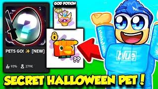 I Hatched 2 SECRET PETS IN THE PETS GO HALLOWEEN UPDATE!!