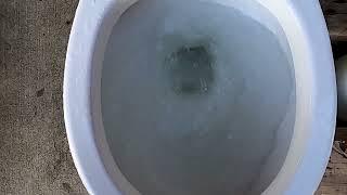 2008 Jacuzzi Perfecta On high Bucket Tank